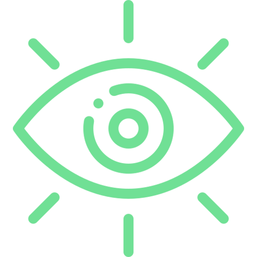 Visión Icon